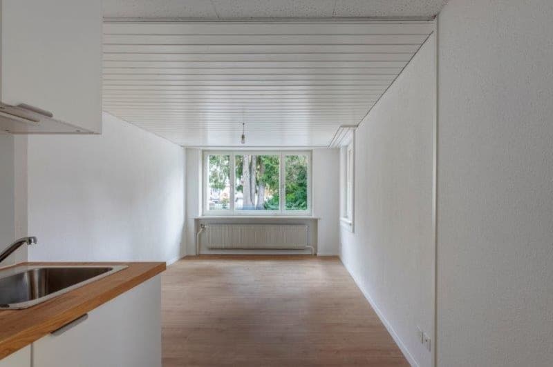 Appartamento 1.5 locali, Wilerstrasse 35, 9630 Wattwil (6)