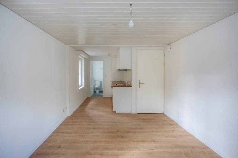 Appartamento 1.5 locali, Wilerstrasse 35, 9630 Wattwil (3)