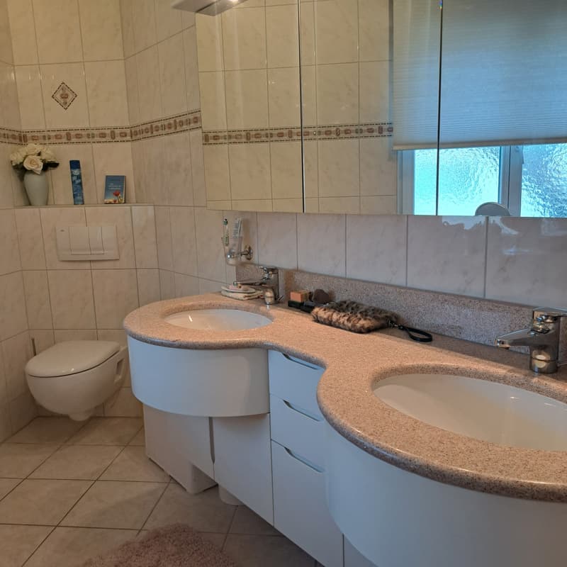 Casa familiare esclusiva e bellissima con molto spazio, giardino a Niederhasli (7)