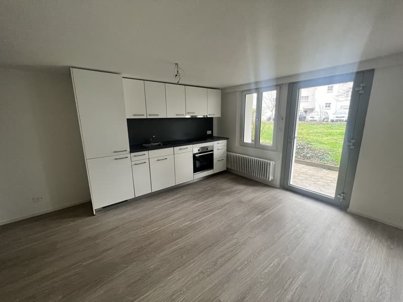 Tenant for beautiful 2.5-room apartment for rent (2)