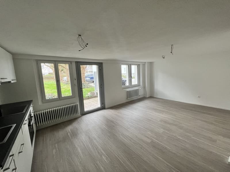 Tenant for beautiful 2.5-room apartment for rent (1)