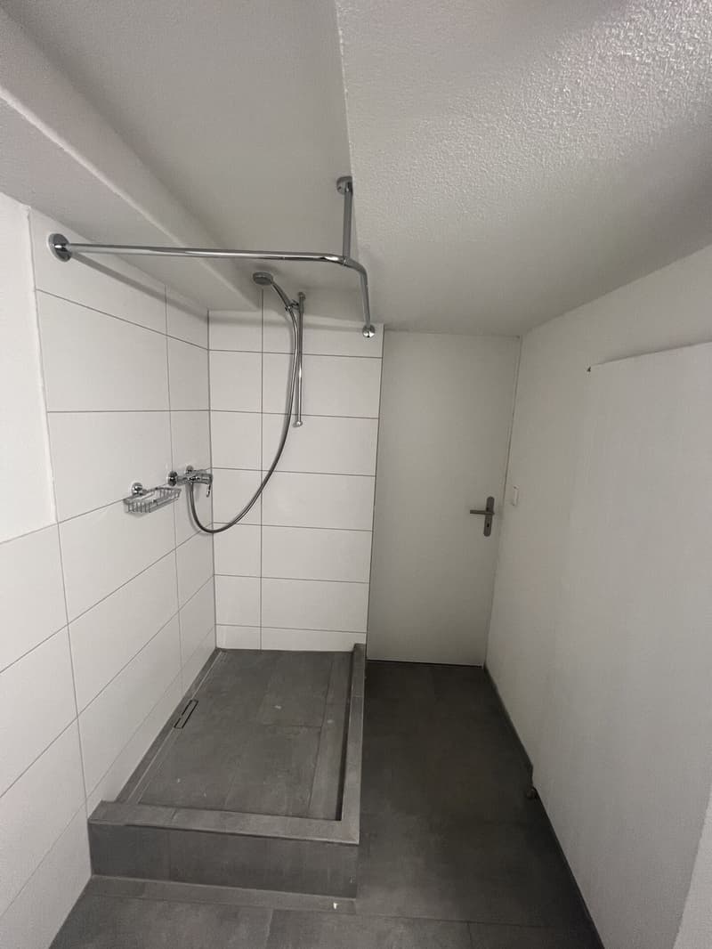 Tenant for beautiful 2.5-room apartment for rent (7)