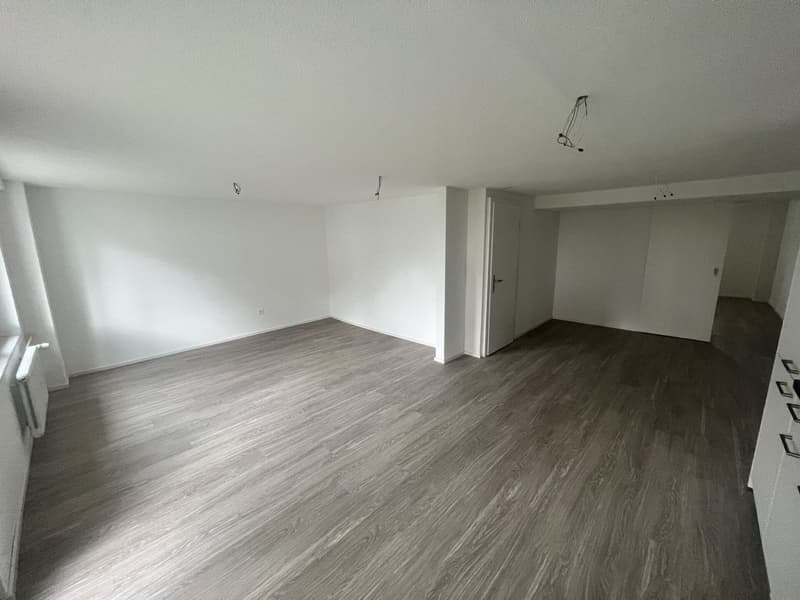 Tenant for beautiful 2.5-room apartment for rent (3)