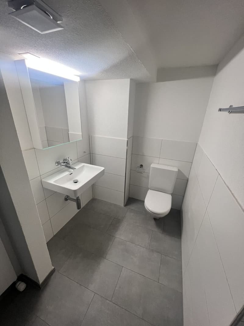 Tenant for beautiful 2.5-room apartment for rent (6)