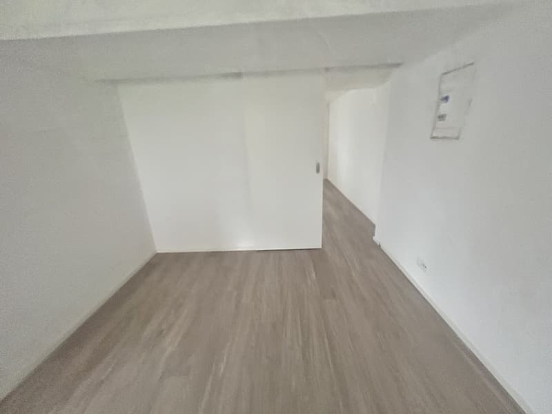 Tenant for beautiful 2.5-room apartment for rent (5)