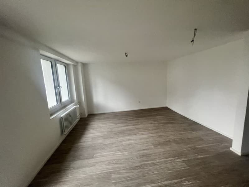 Tenant for beautiful 2.5-room apartment for rent (4)