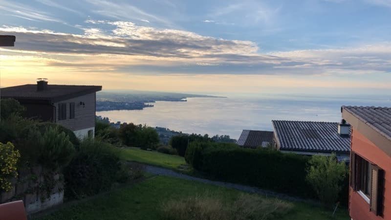 Action d'automne : Studios meublés au bord du lac de Constance (1)