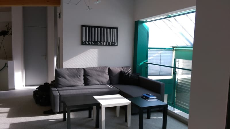 Appartement attractif de 4,5 pièces à vendre en norme de propriétaire occupant (11)