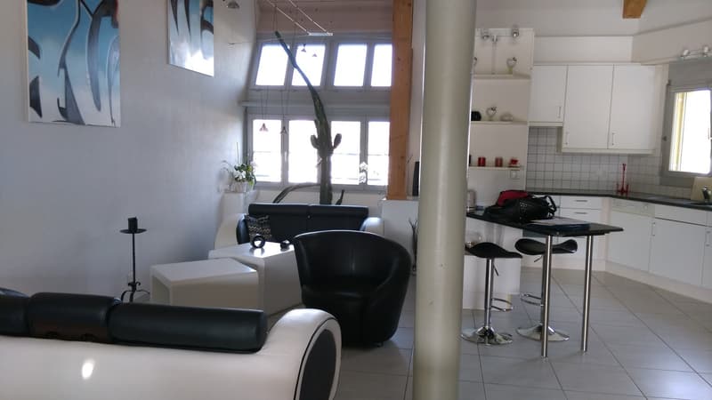 Appartement attractif de 4,5 pièces à vendre en norme de propriétaire occupant (5)