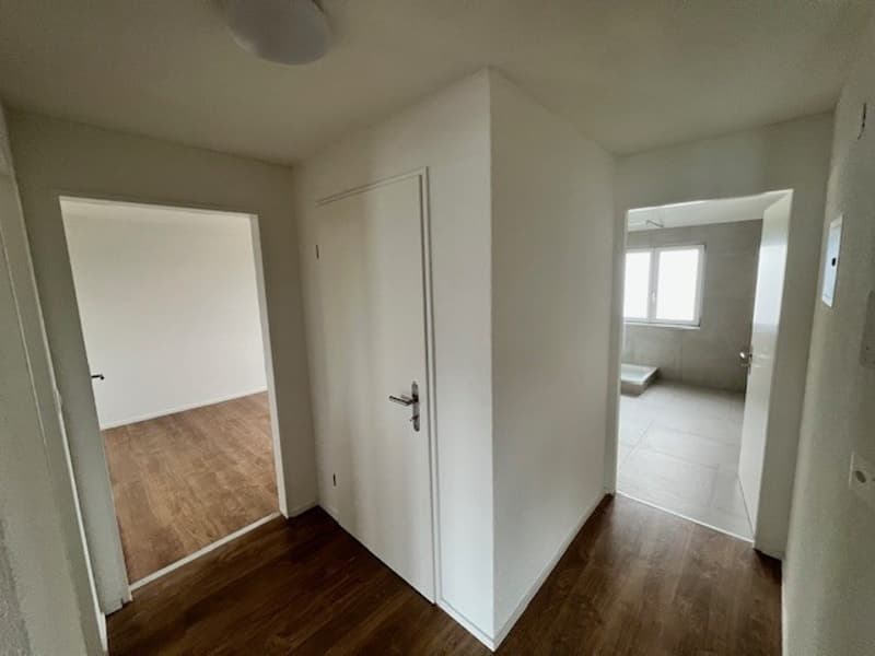 Schöne neu sanierte 2-Zimmer-Wohnungen zu vermieten (7)