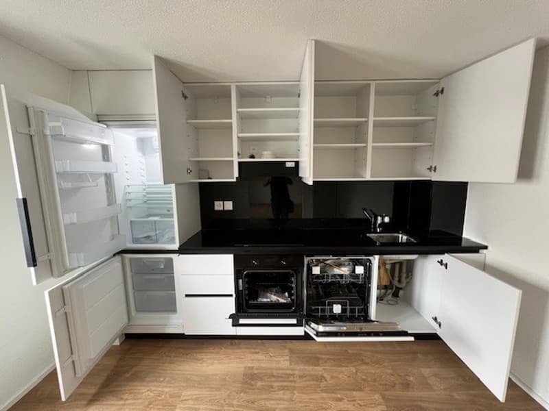 Schöne neu sanierte 2-Zimmer-Wohnungen zu vermieten (3)