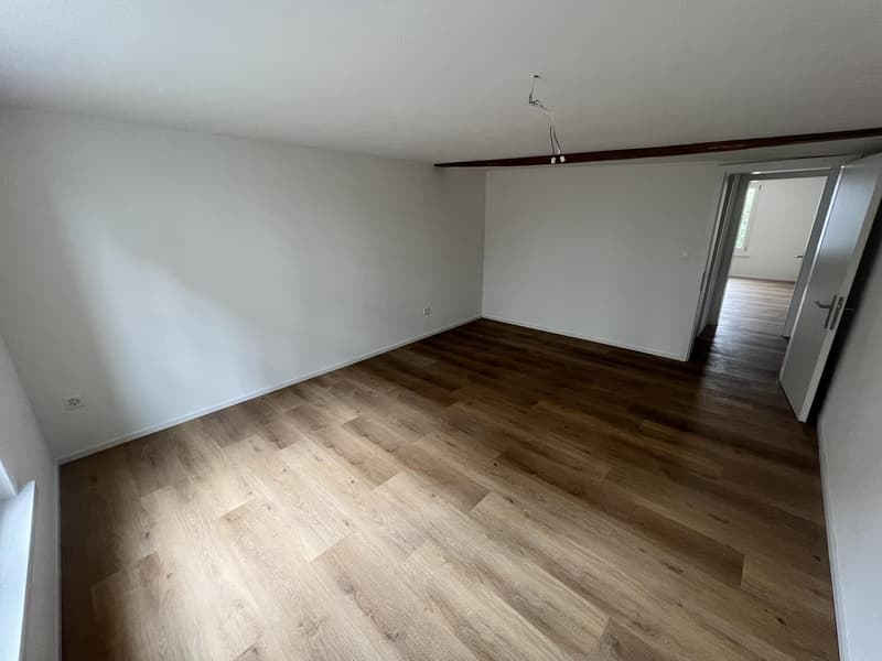 Erster Mietzins geschenkt: Neu sanierte 3.5-Zimmerwohnung zu vermieten (8)