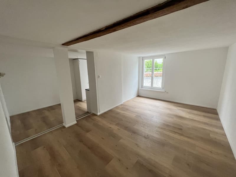 Erster Mietzins geschenkt: Neu sanierte 3.5-Zimmerwohnung zu vermieten (12)