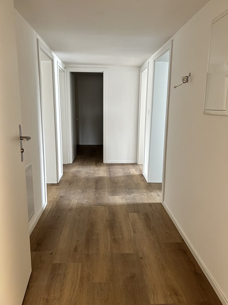 Erster Mietzins geschenkt: Neu sanierte 3.5-Zimmerwohnung zu vermieten (11)