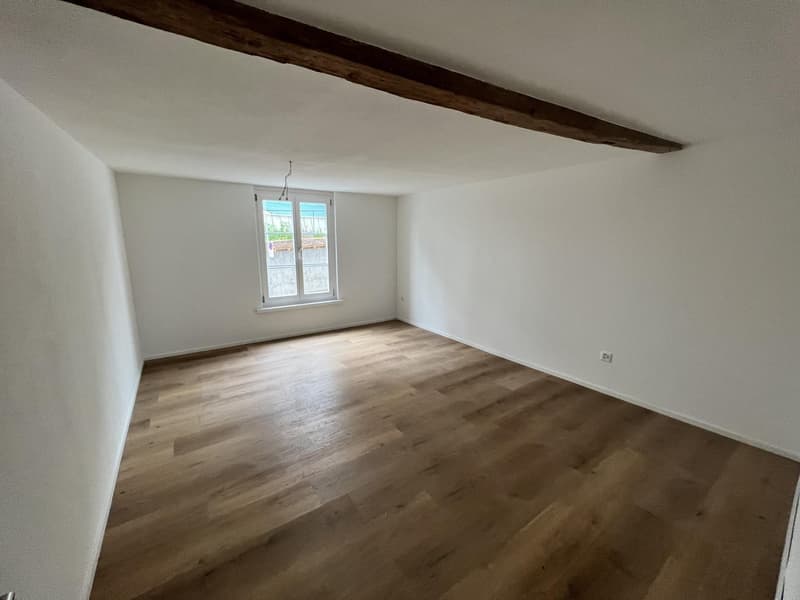 Erster Mietzins geschenkt: Neu sanierte 3.5-Zimmerwohnung zu vermieten (13)