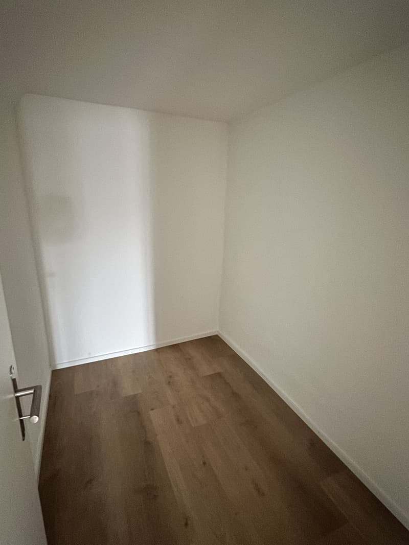 Erster Mietzins geschenkt: Neu sanierte 3.5-Zimmerwohnung zu vermieten (2)