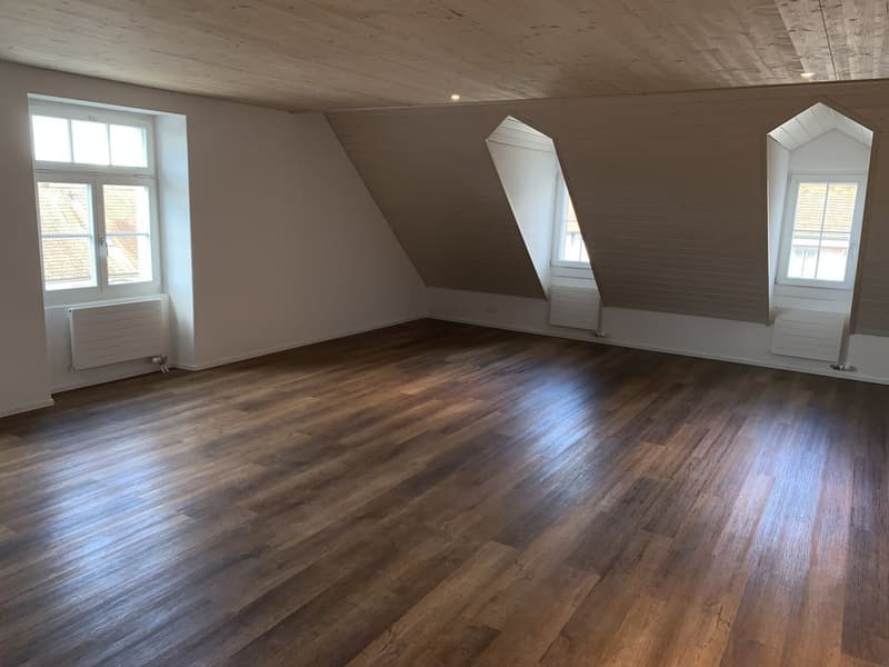 Schönes Loft mit Galerie zu vermieten (1)