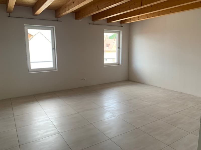 Charmante geräumige 4.5-Maisonette-Dachwohnung (149m2) zu vermieten (7)