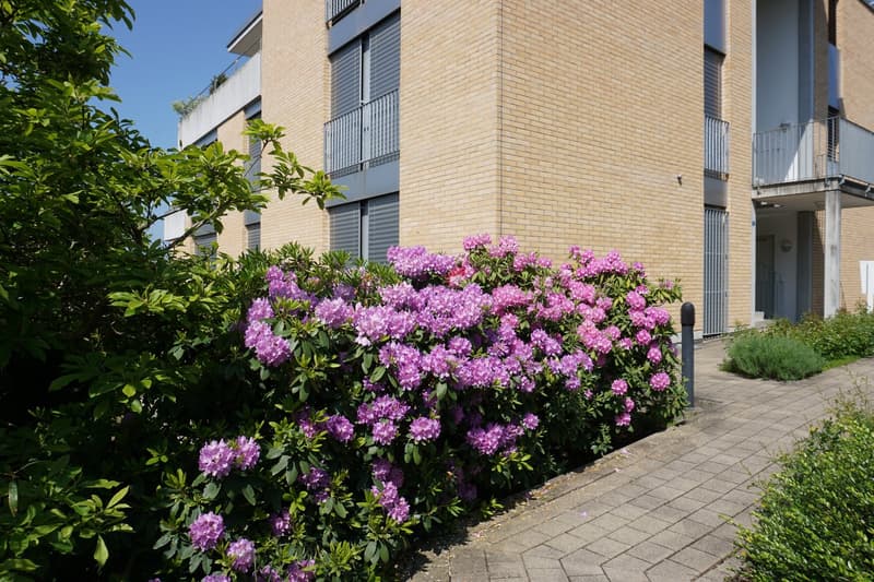 Appartement de jardin dans un quartier résidentiel élevé et calme (4)