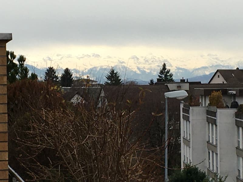 Terrassenwohnung an erhöhter und ruhiger Wohnlage (9)