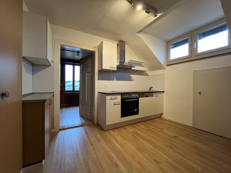 Grand appartement de 2,5 pièces en mansarde (sans balcon) avec petit jardin (1)