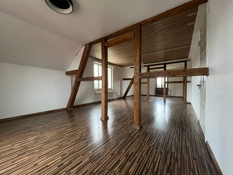 Grand appartement de 2,5 pièces en mansarde (sans balcon) avec petit jardin (5)