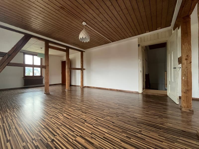 Grand appartement de 2,5 pièces en mansarde (sans balcon) avec petit jardin (3)