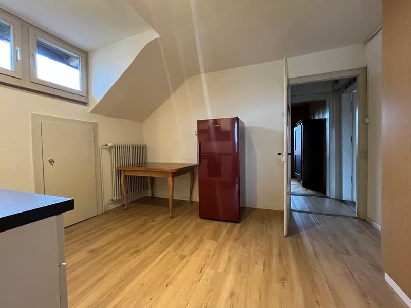 Grand appartement de 2,5 pièces en mansarde (sans balcon) avec petit jardin (2)