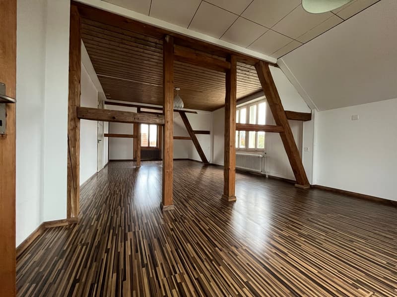 Grand appartement de 2,5 pièces en mansarde (sans balcon) avec petit jardin (6)