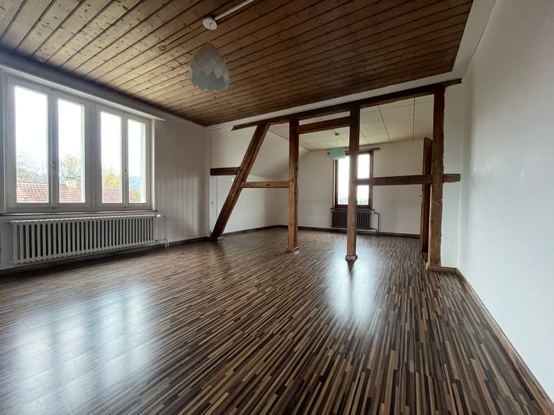 Grand appartement de 2,5 pièces en mansarde (sans balcon) avec petit jardin (4)