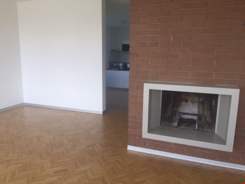ALPENSICHT (4)
