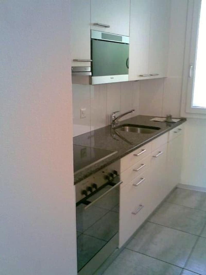 Delizioso appartamento duplex 3.5 locali a Biel con balcone e caminetto (3)