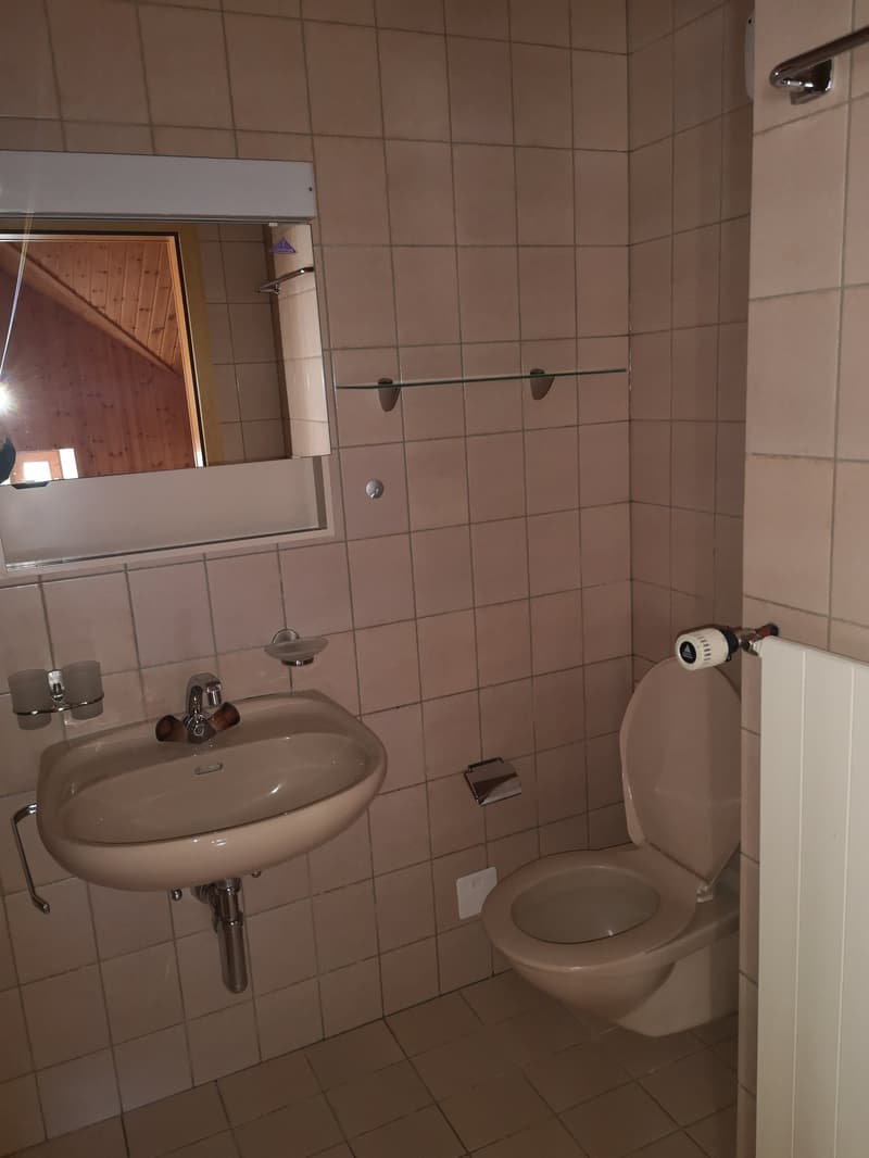 Schöne Dachwohnung in Oberurnen (6)