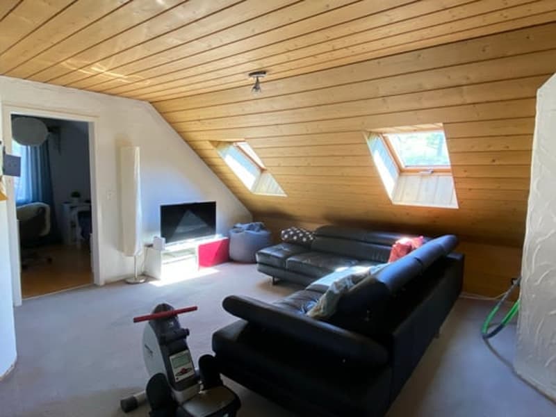 Top 9 1/2 pièces maison unifamiliale dans le vert (17)