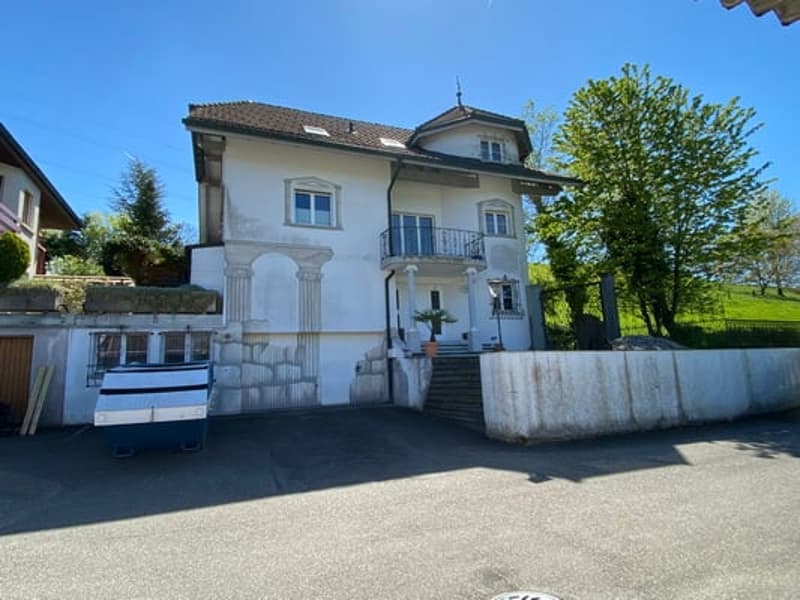 Top 9 1/2 pièces maison unifamiliale dans le vert (4)