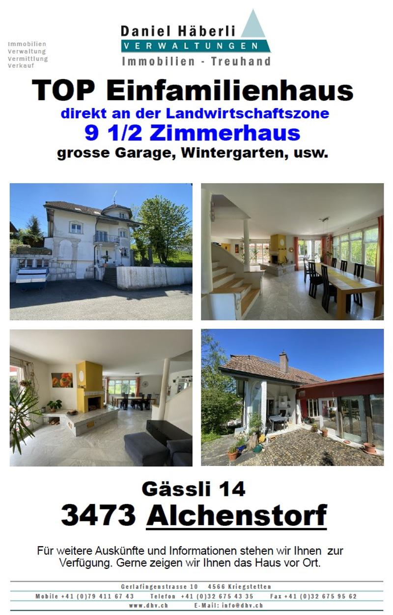 Top 9 1/2 pièces maison unifamiliale dans le vert (1)