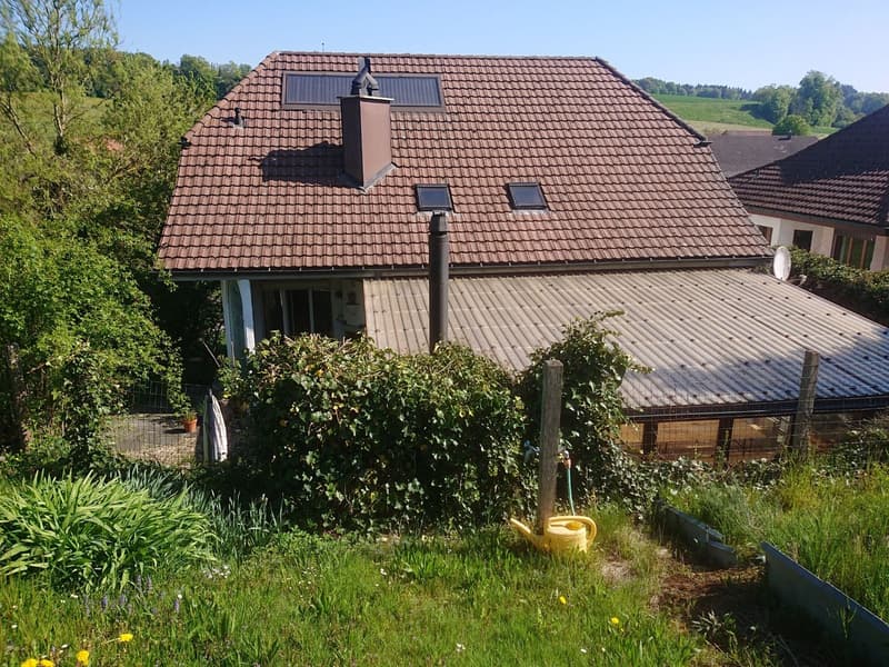 Top 9 1/2 pièces maison unifamiliale dans le vert (5)