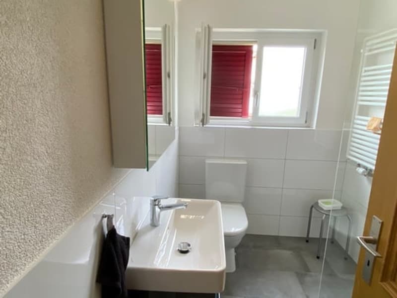 Appartamento di 3 locali ben curato con balcone a Biberist – disponibile immediatamente! (11)