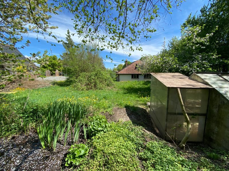 Bauland in ruhiger Lage – Grüttstrasse 5, Obergerlafingen (10)