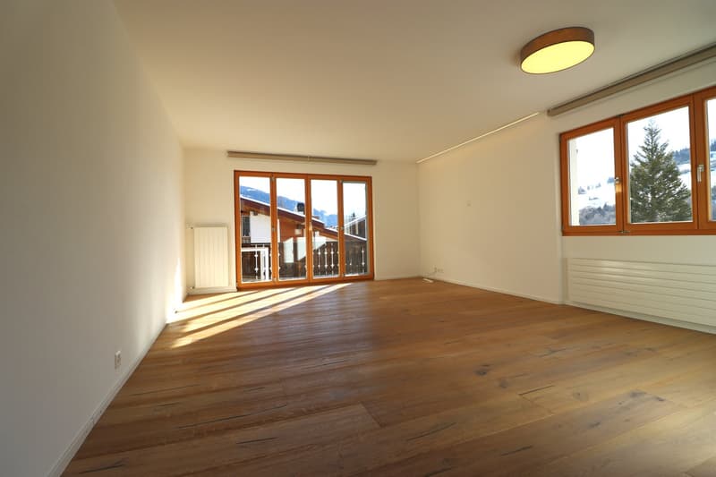 Charmante 3-Zimmer-Wohnung in Laax – sofort verfügbar! (2)