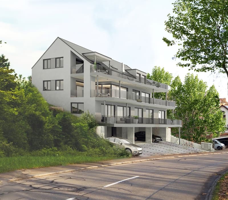 Erstklassiges Wohnen in Birmenstorf AG - Neubau Eigentumswohnungen (2)