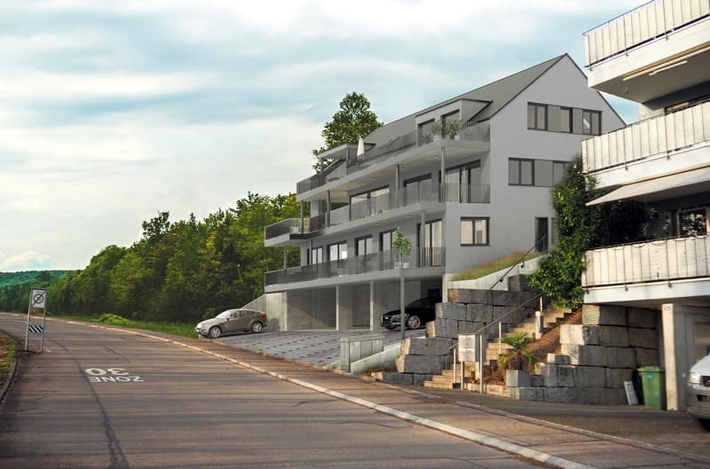 Erstklassiges Wohnen in Birmenstorf AG - Neubau Eigentumswohnungen (8)