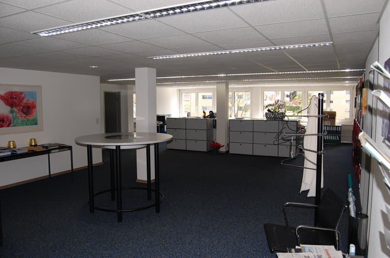 Repräsentative und helle Büroräume an zentraler Lage in Wollerau (1)