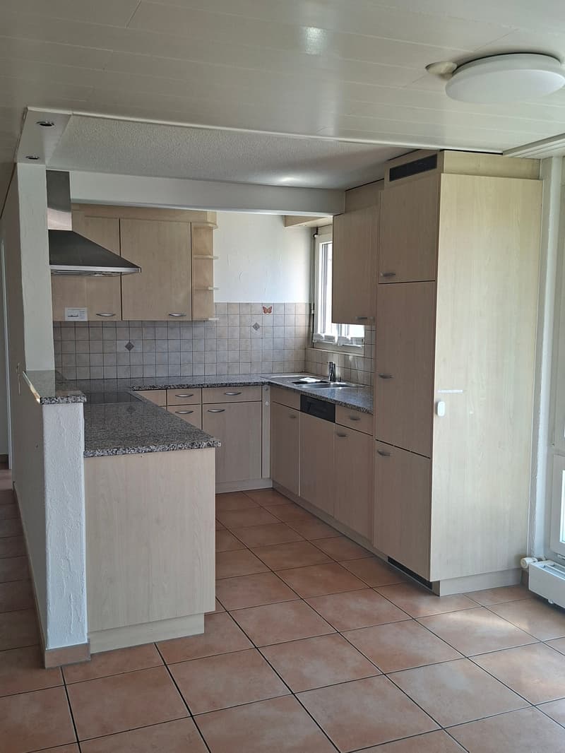 Geräumige 3.5-Zimmerwohnung mit direktem Seezugang (3)