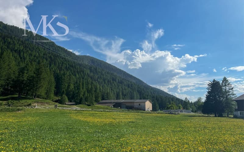 Building land in a privileged location in Goms (2)