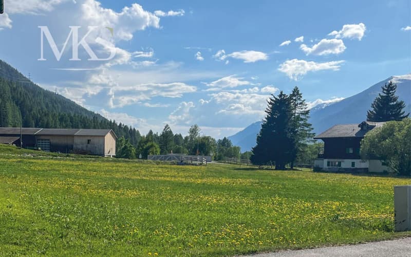 Building land in a privileged location in Goms (1)