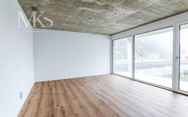 Bello appartamento di 3.5 locali a Visp (2)