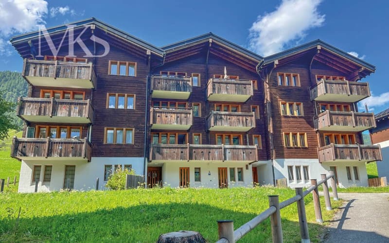 Appartement de 2,5 pièces ensoleillé dans le Goms avec une vue magnifique (2)