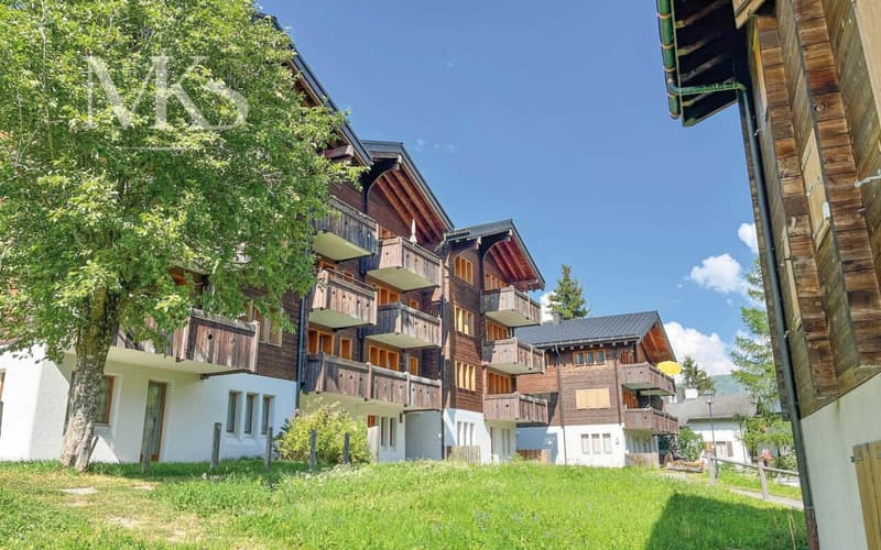 Appartement de 2,5 pièces ensoleillé dans le Goms avec une vue magnifique (1)