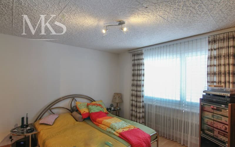 Living with a wide view in the heart of Visp (6)